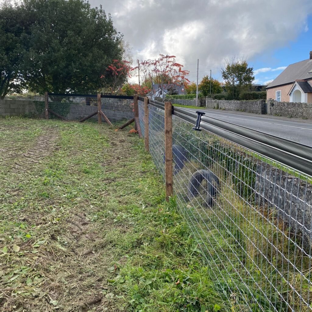 whatsapp image 2025 10 22 at 10.03.27 (4)